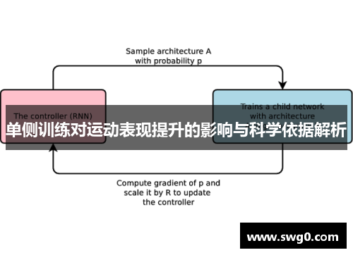 单侧训练对运动表现提升的影响与科学依据解析